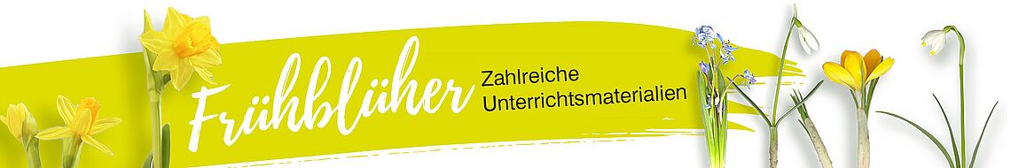 Zum Frühblüher-Miniweb