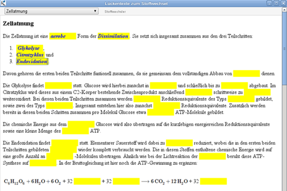 Quizdidaktik Vorschaubild Screenshot Benutzeroberfläche