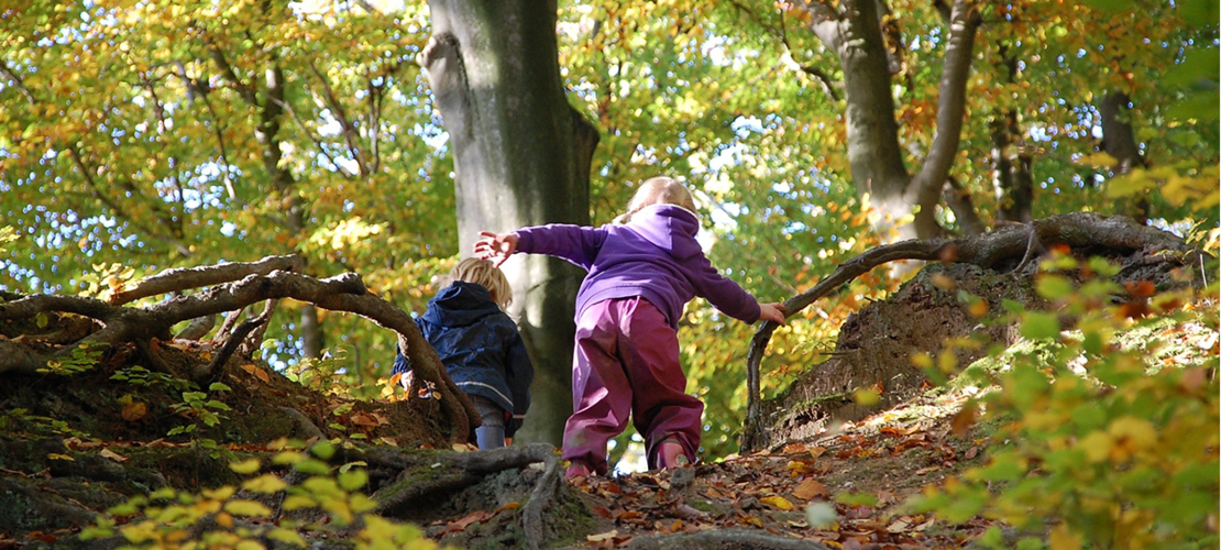 Zwei Kindern klettern im Wald einen Hang hinauf.