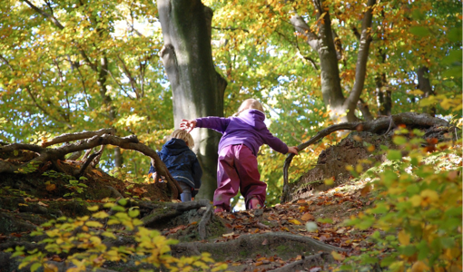 Zwei Kindern klettern im Wald einen Hang hinauf.