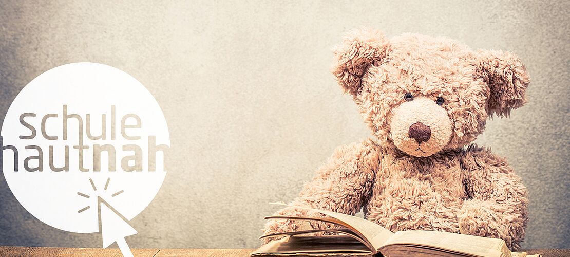 Teddybär mit altem Buch