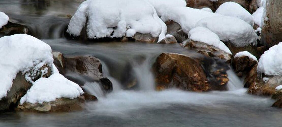 Adventgedanke 19: Zeit nehmen Bach