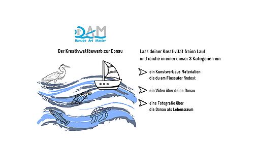 Danube Art Master - JUMP Wettbewerbsbild