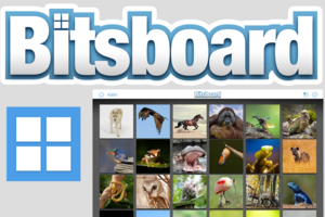 Bitsboard Logo und Memo Spiel mit Tiere