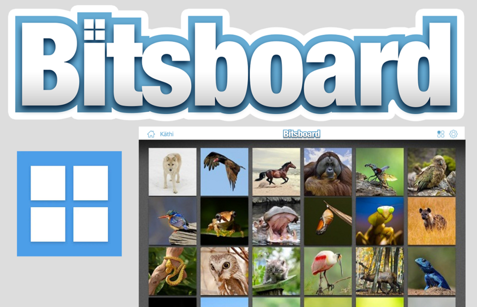 Bitsboard Logo und Memo Spiel mit Tiere