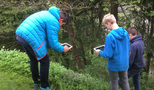 3 Schüler mit dem Tablet beim Bestimmen von Pflanzen