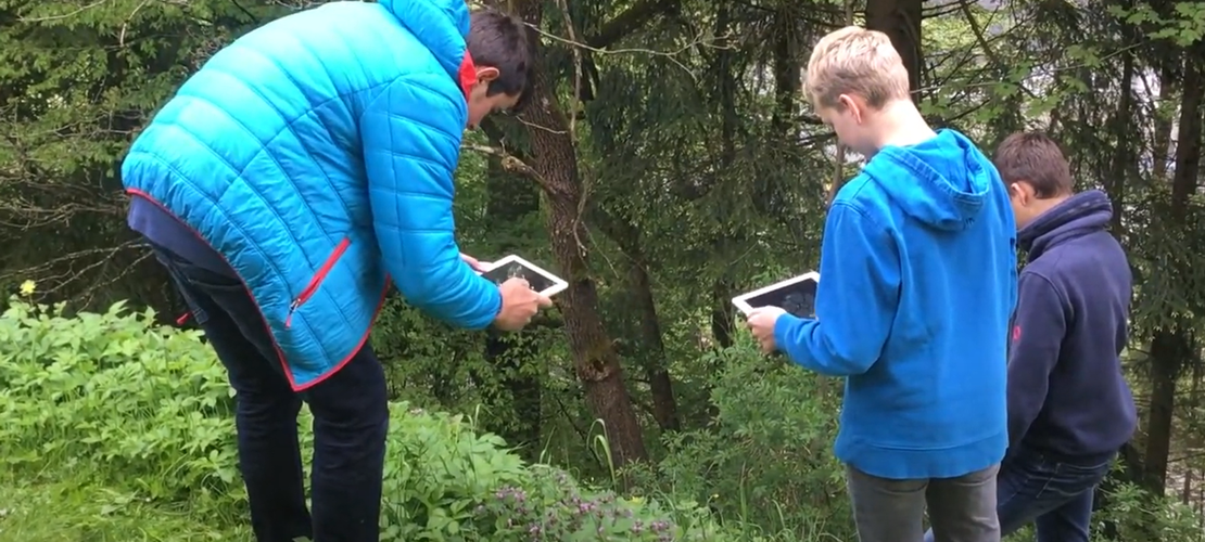3 Schüler mit dem Tablet beim Bestimmen von Pflanzen