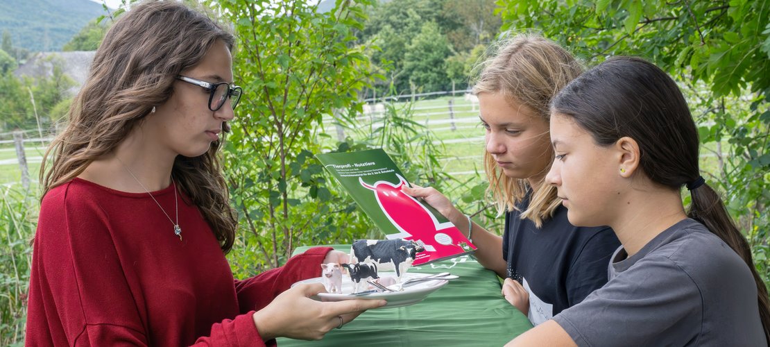 Tierschutz mit dem Unterrichtsheft "Tierprofi Nutztiere"